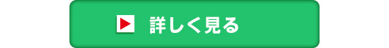 詳しく見る