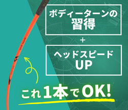 ロジャースティック