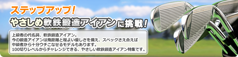 やさしめ軟鉄鍛造アイアンに挑戦！
