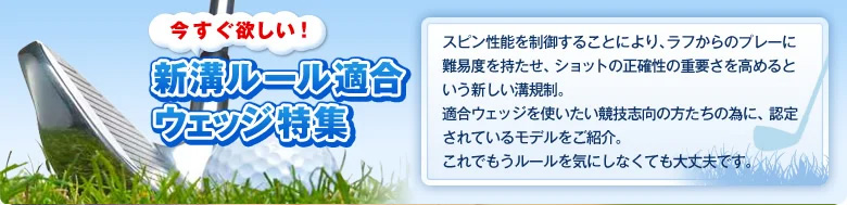 新溝ルール適合ウェッジ特集