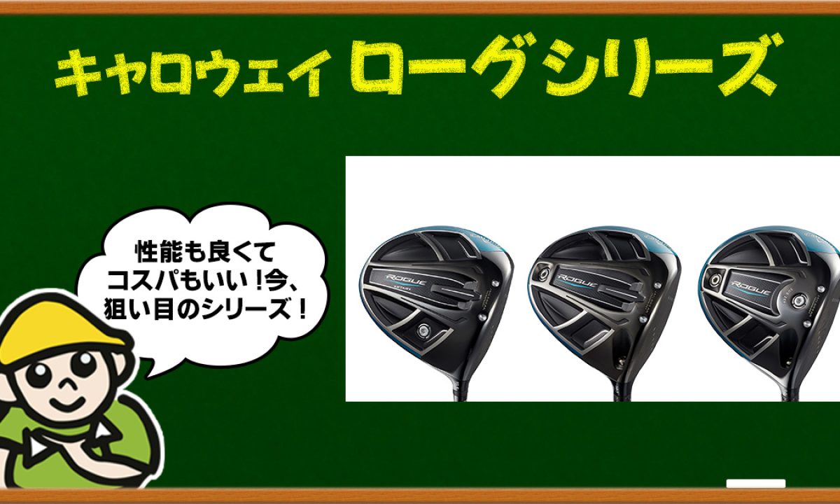 4899-rogue-アイキャッチ- 