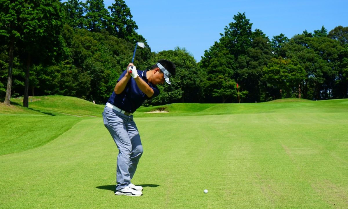 お話し中】ウェッジウェッジ プレート等9点